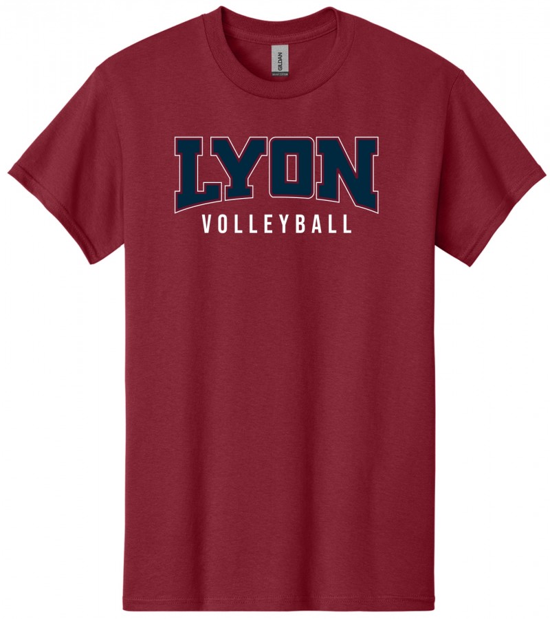 LYON VOLLEYBALL S/S - D3