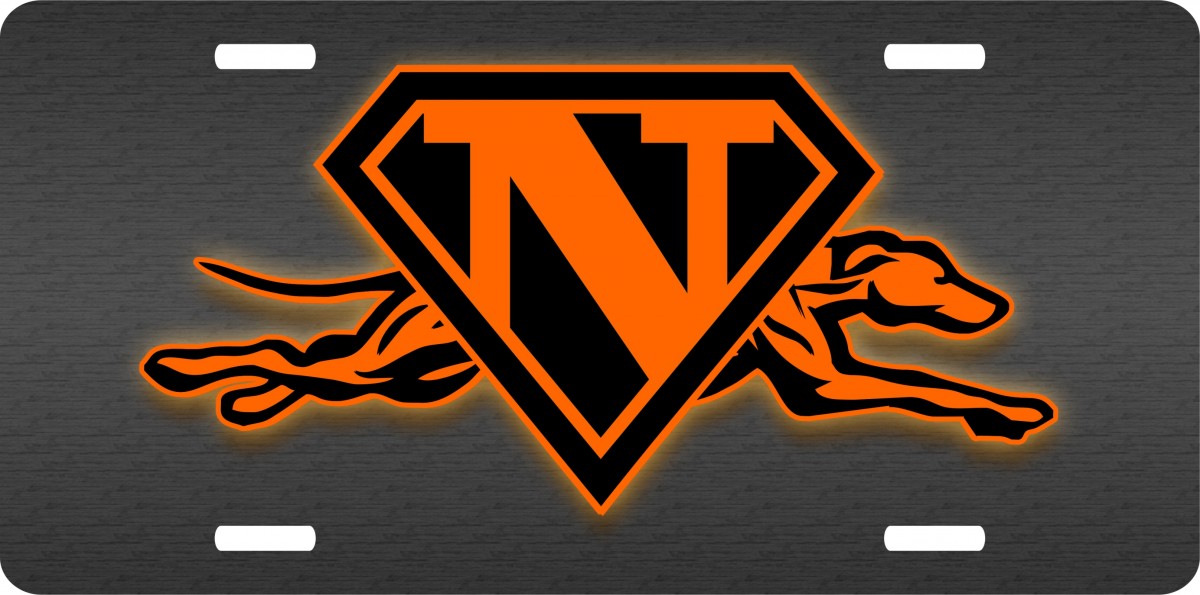 NEWPORT LICENSE PLATE