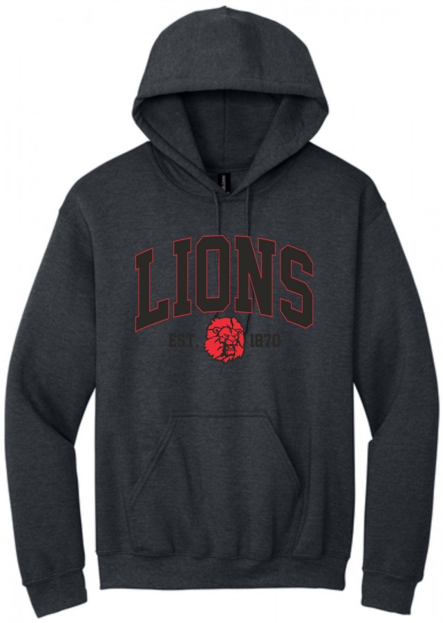 5D253 YOUTH SEARCY HOODIE